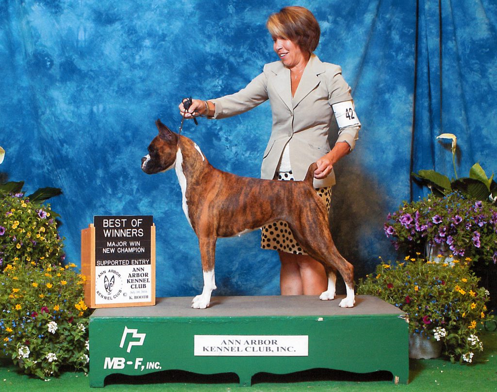 Victoria Baibrook Boxers