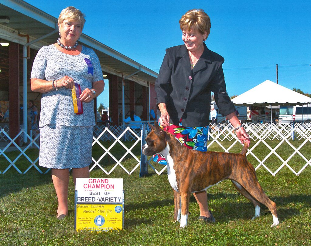 Victoria Baibrook Boxers